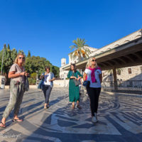 212_Ziemia_Swieta_D3