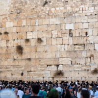 335_Ziemia_Swieta_D2